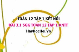 Bài 3.1 SGK Toán 12 tập 1 Kết nối tri thức